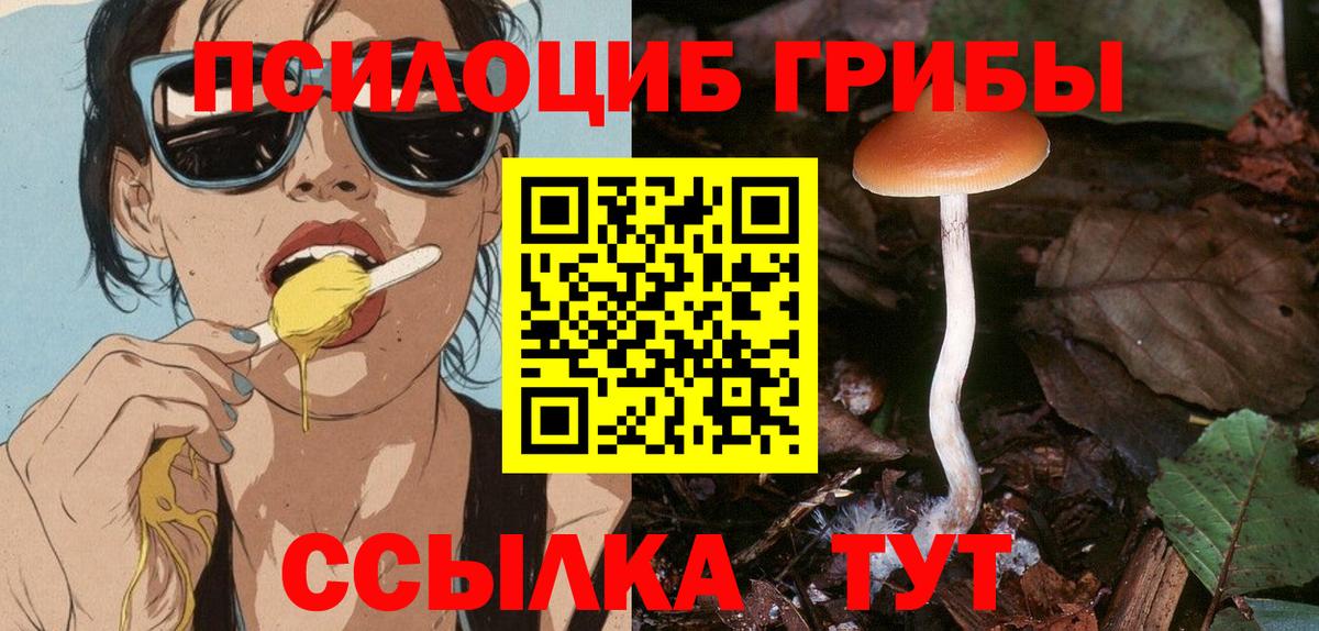 Галлюциногенные грибы MAGIC MUSHROOMS Заречный